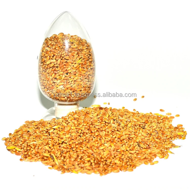 Big bag packaging wheat grain wholesale priced from Russia, wheat grain for animal