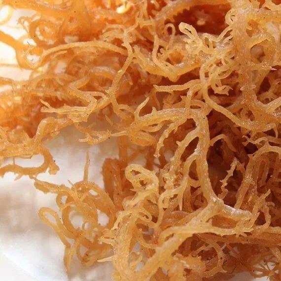 Водоросли натуральный органический сушеный ирландский морской