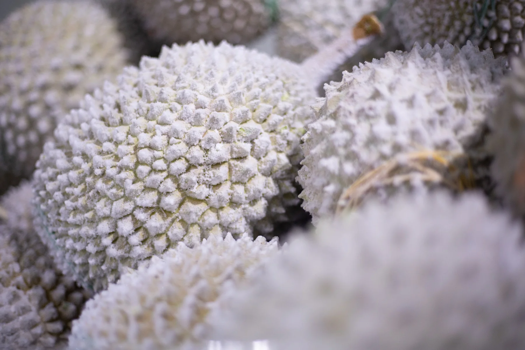
Premium Grade Musang King A D197 Frozen Durian with Shell from Malaysia Top Durian Fruit Supplier 