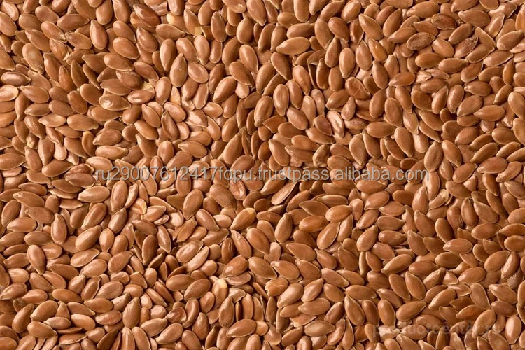 Extremely helpful flax seeds superfood for the prevention of various diseases wholesale, price flax seed