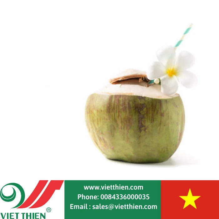  Wholesale organic fresh young coconut selected and processed with strict process from the west of Vietnam