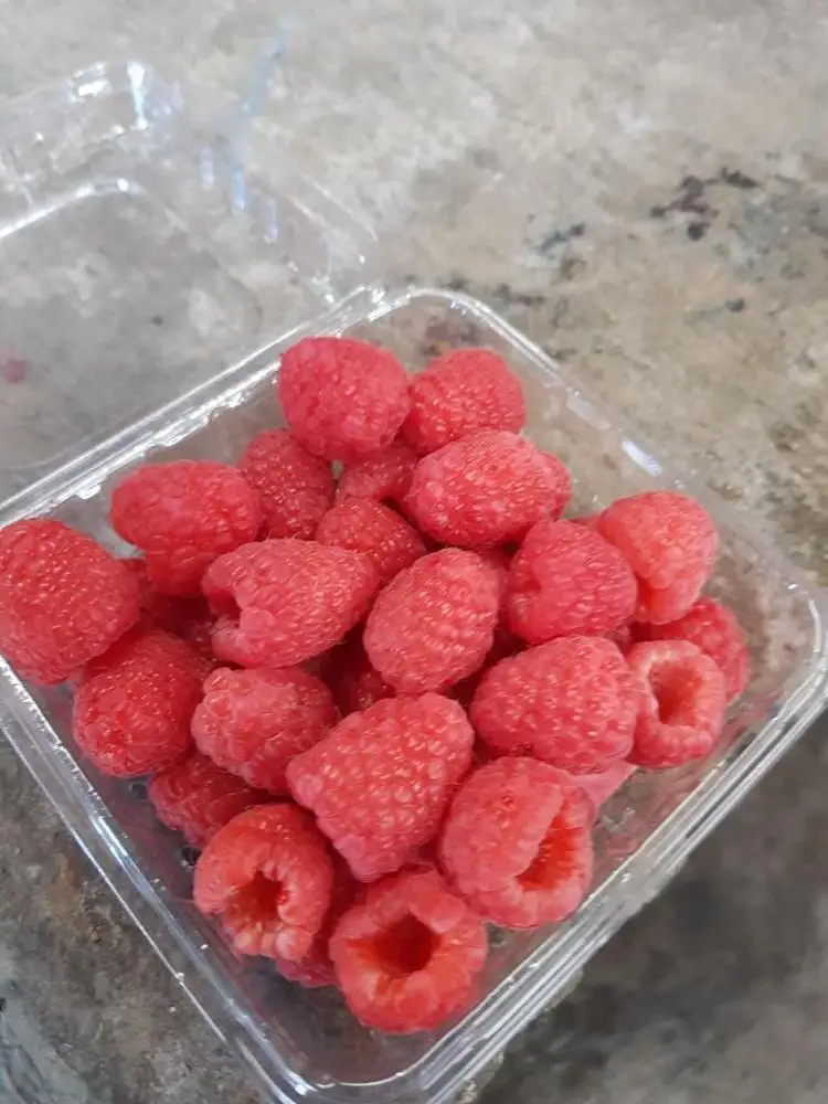 
High Quality Fresh Raspberries 