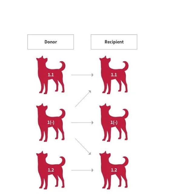 Легкие и точные медицинские добавки для домашних животных, оборудование для тестирования крови, товары для домашних животных 2021