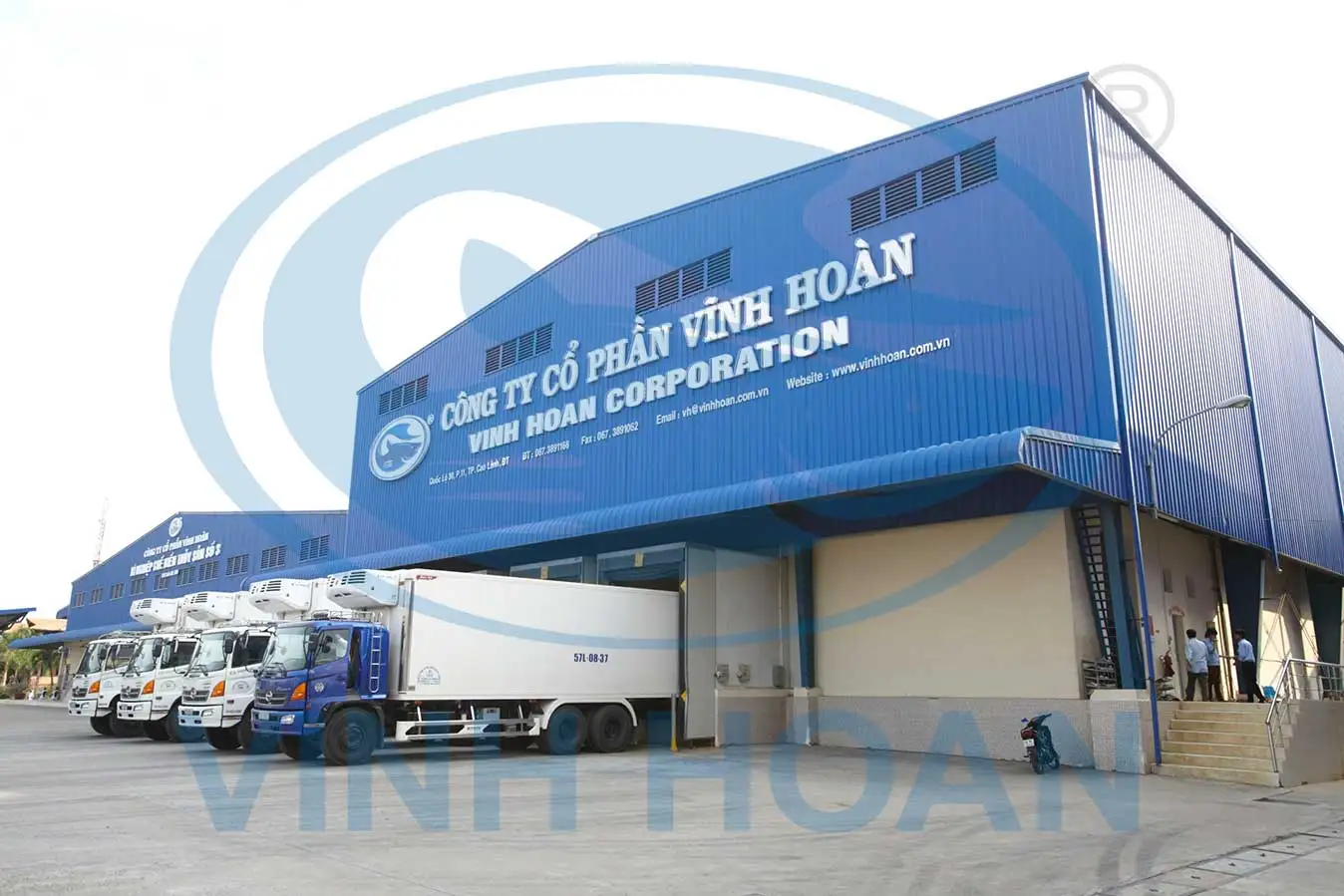 Wholesale Frozen Pangasius/ swai/basa Fish Fillets bulk packing suplier factory