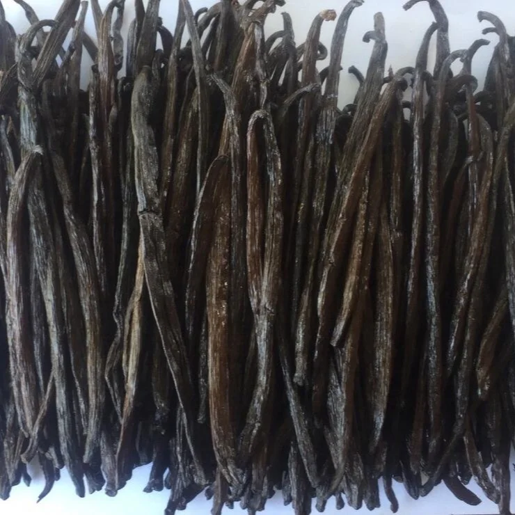 RENDAH PLANIFOLIA GRADE-2 16-17CM VANILLA BEANS for EXTRACTION Best Quality Indonesian Hot Selling Bourbon Reasonable Best Price