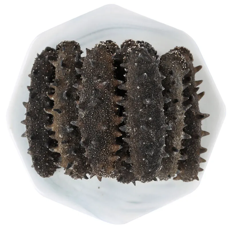 High Quality Dry Sea Cucumber 2019
