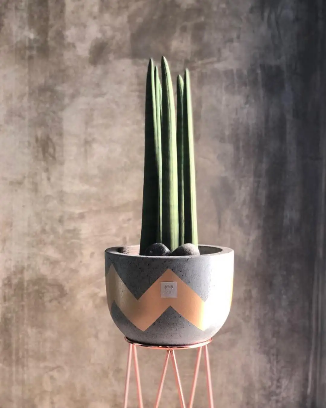 High Quality Small Indoor Ceramic Planter Pot Smooth Finished with LED Lamp New Top Garden Supplies Small Decorative Space