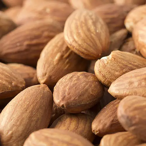 Cheap Price Grown Almond Nuts