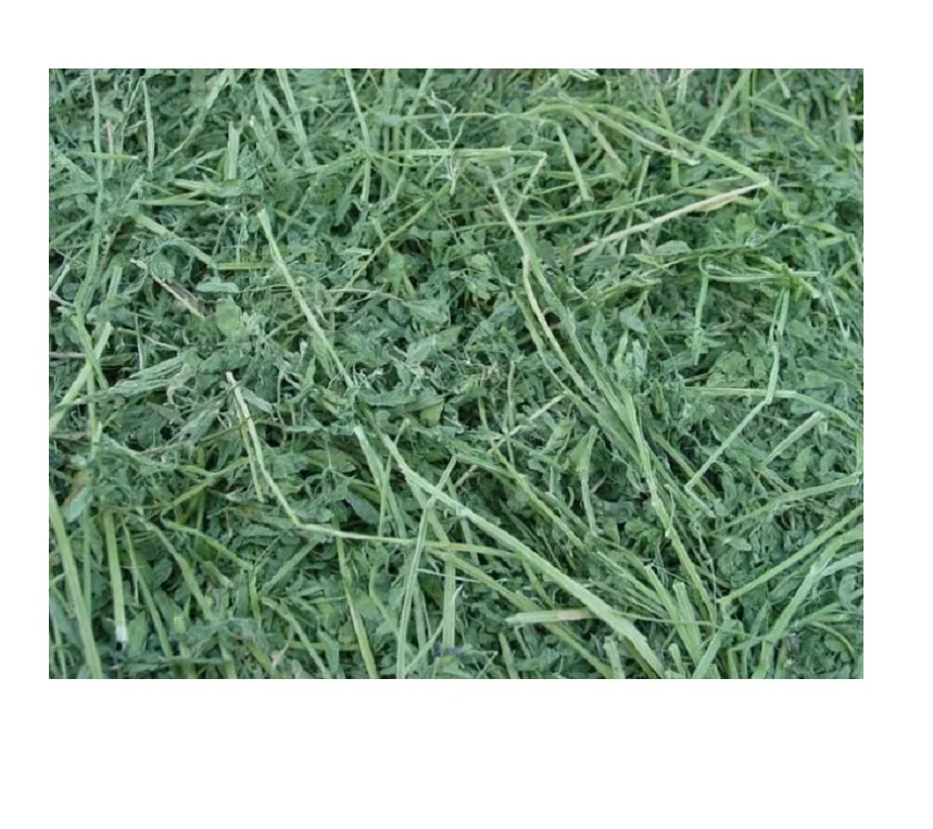 BUY HIGH QUALITY PREMIUM ALFALFA HAY, ALFALFA HAY PRICE, ALFALFA HAY BALES