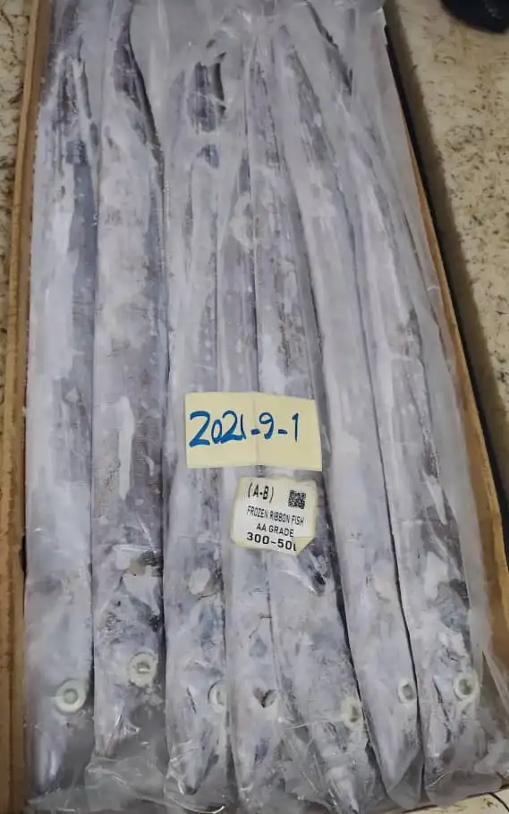 Ribbon fish / Frozen Ribbon fish / Fresh Ribbon fish