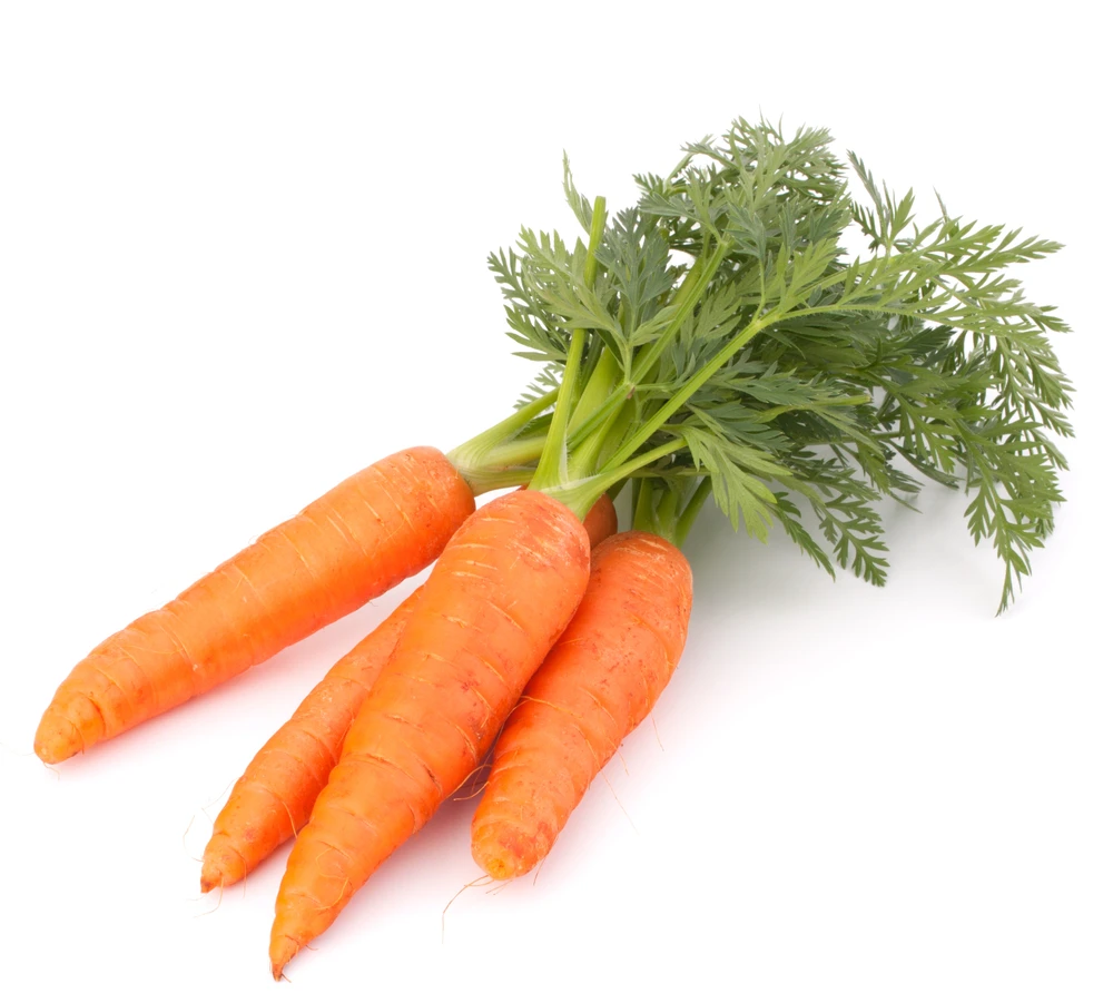 Red orange color Carrot
