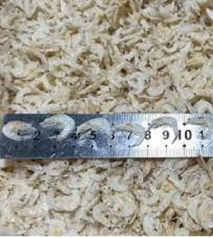 Competitive price dried baby shrimp/small  shrimp high quality/ Ms. Esther
