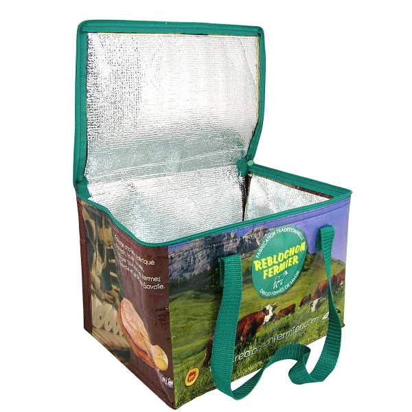 Custom Logo Printed PP Woven Versatile Cooler Bag Carry Food With Zippers For Kids And Adults