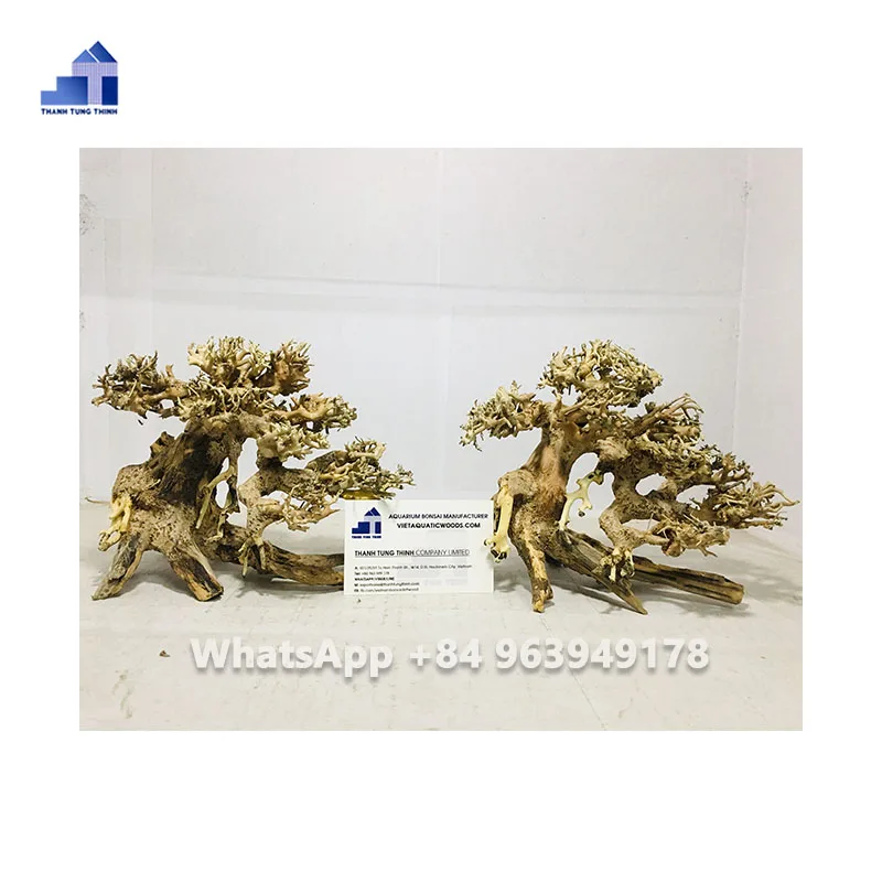 2024 Good Quality Bonsai Driftwood for Aquarium Decoration WhatsApp: +84 961005832