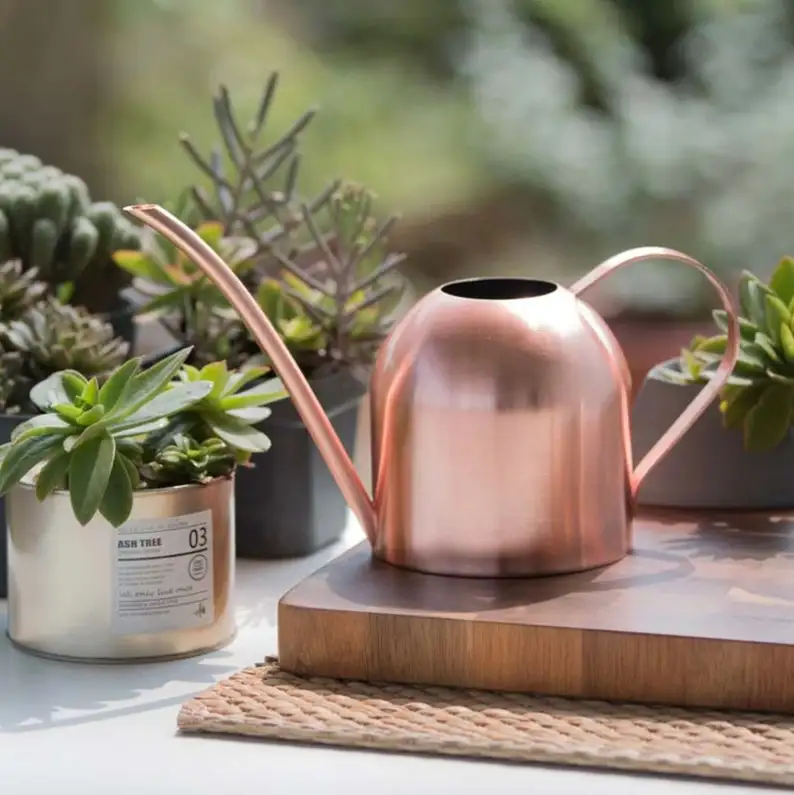 Оцинкованная стальная кастрюля в стиле ретро домашний декор Подарочный полив для сада и растений заводская цена