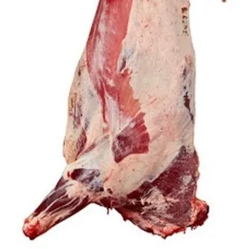 Beef fresh carcass- Beef frozen carcass- premium quality angus Cimental Hereford montofon beef-Halal slaughter