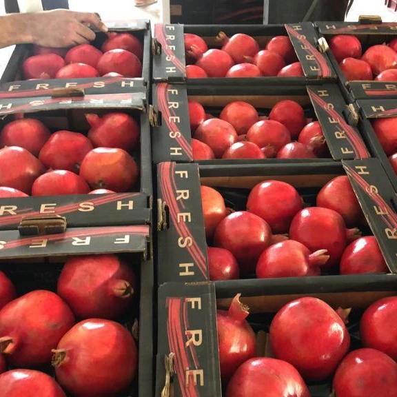 Pomegranates/ Fresh Pomegranates