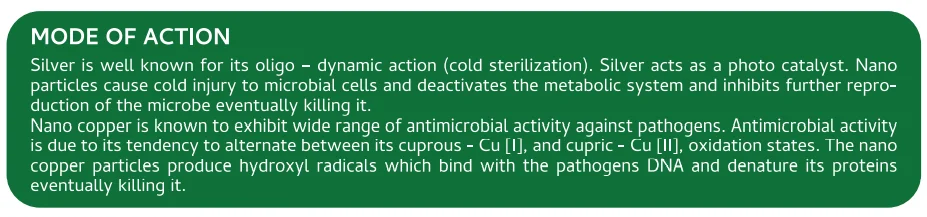 Screenshot (913).png