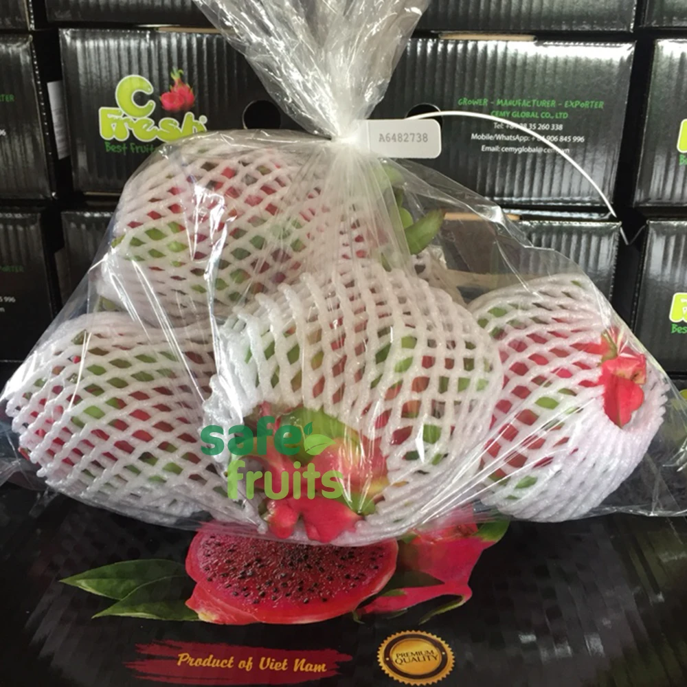 
Wholesale fresh Dragon Fruit with High quality from Vietnam 