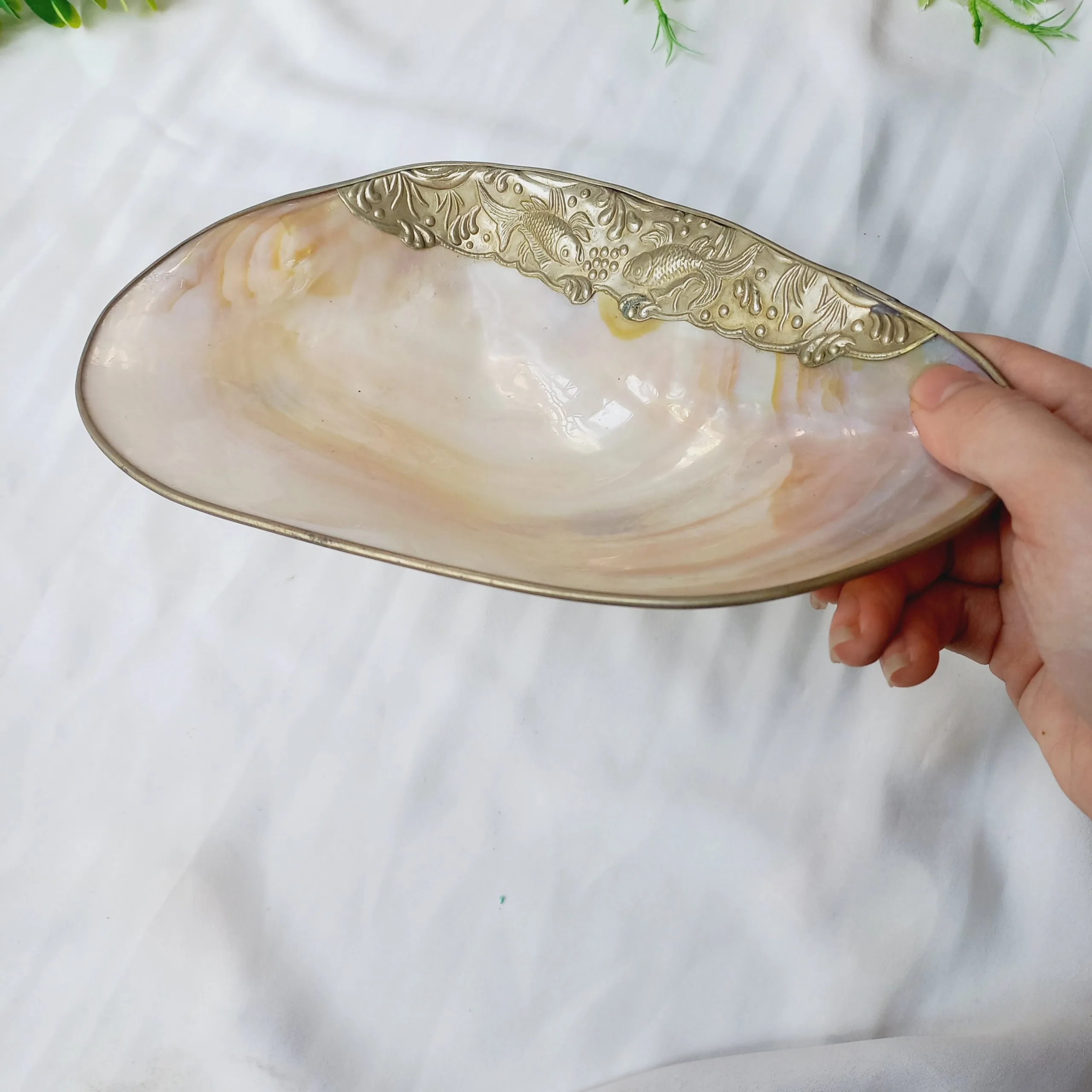 Тарелки с перламутровыми ракушками Amazon тарелки для икры серебряной овальной оправой инкрустацией серебряными краями