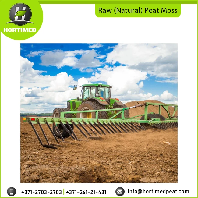  Raw Natural Sphagnum Peat Moss Wholesale