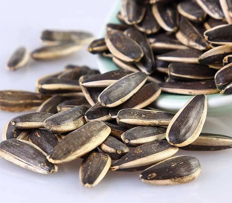 Sunflower Seeds and Kernels, Top Supplier, Good Service,Microgreen non gmo