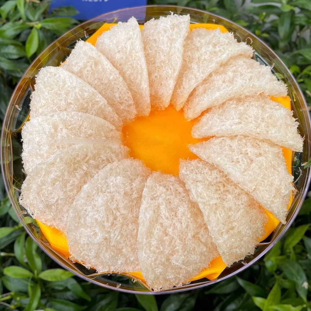 Vietnam Special Brand Vgreen Pro 2 years shelf life Improving Strength Tablets Natural White Refined Spongy Bird Nest Edible