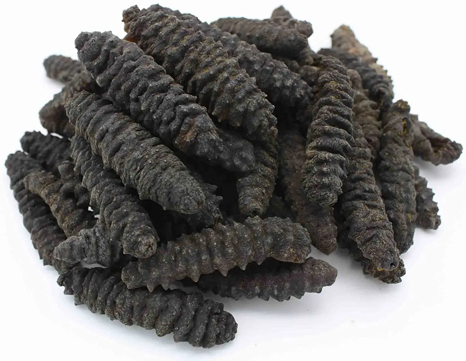 100% Natural Sun Dried Sea Cucumber Available.