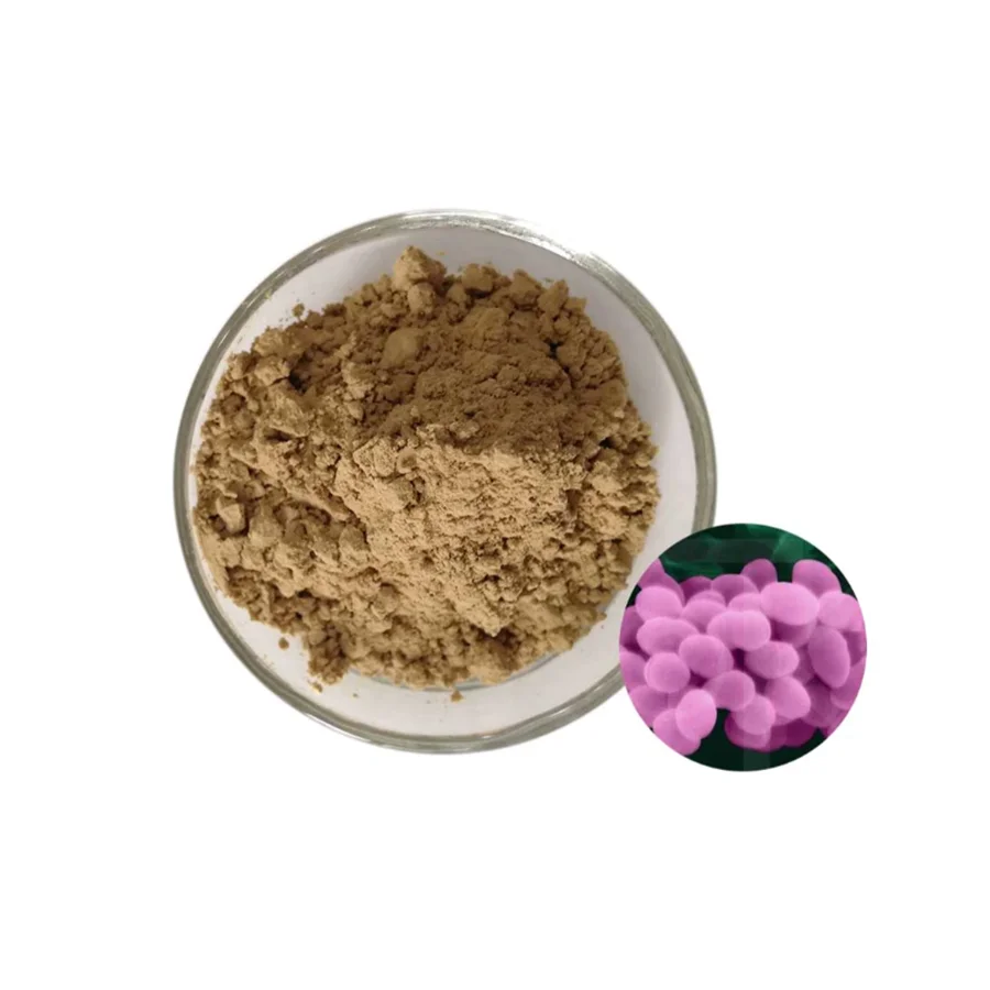 Probiotics Supplier Bulk Bacillus Pumilus Probiotics - Zealmax Biopharma