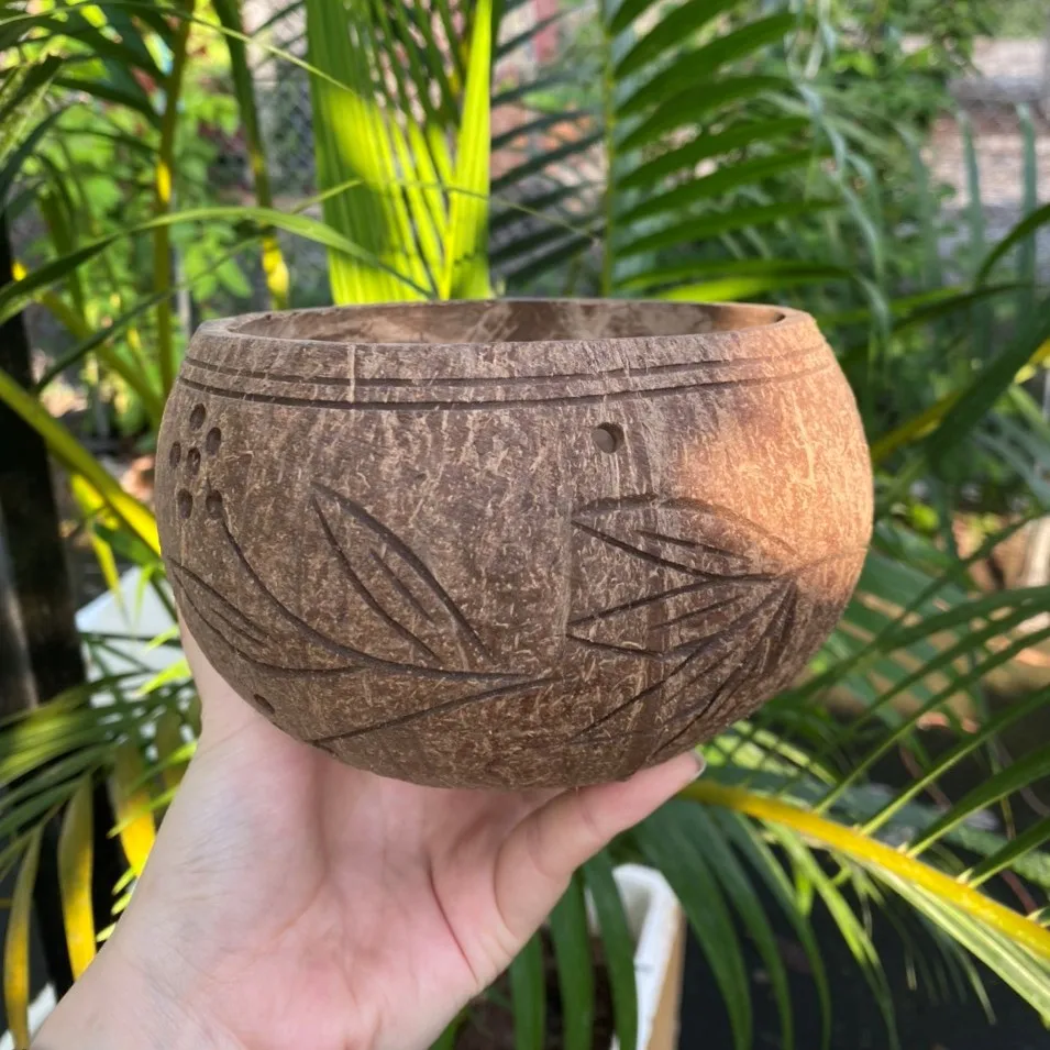 Creative Coconut Shell Hanging Basket Coconut Flower Pot Balcony Decoration