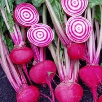 100% натуральный красный свекольный порошок-мисс элаин + 84 375 431 541