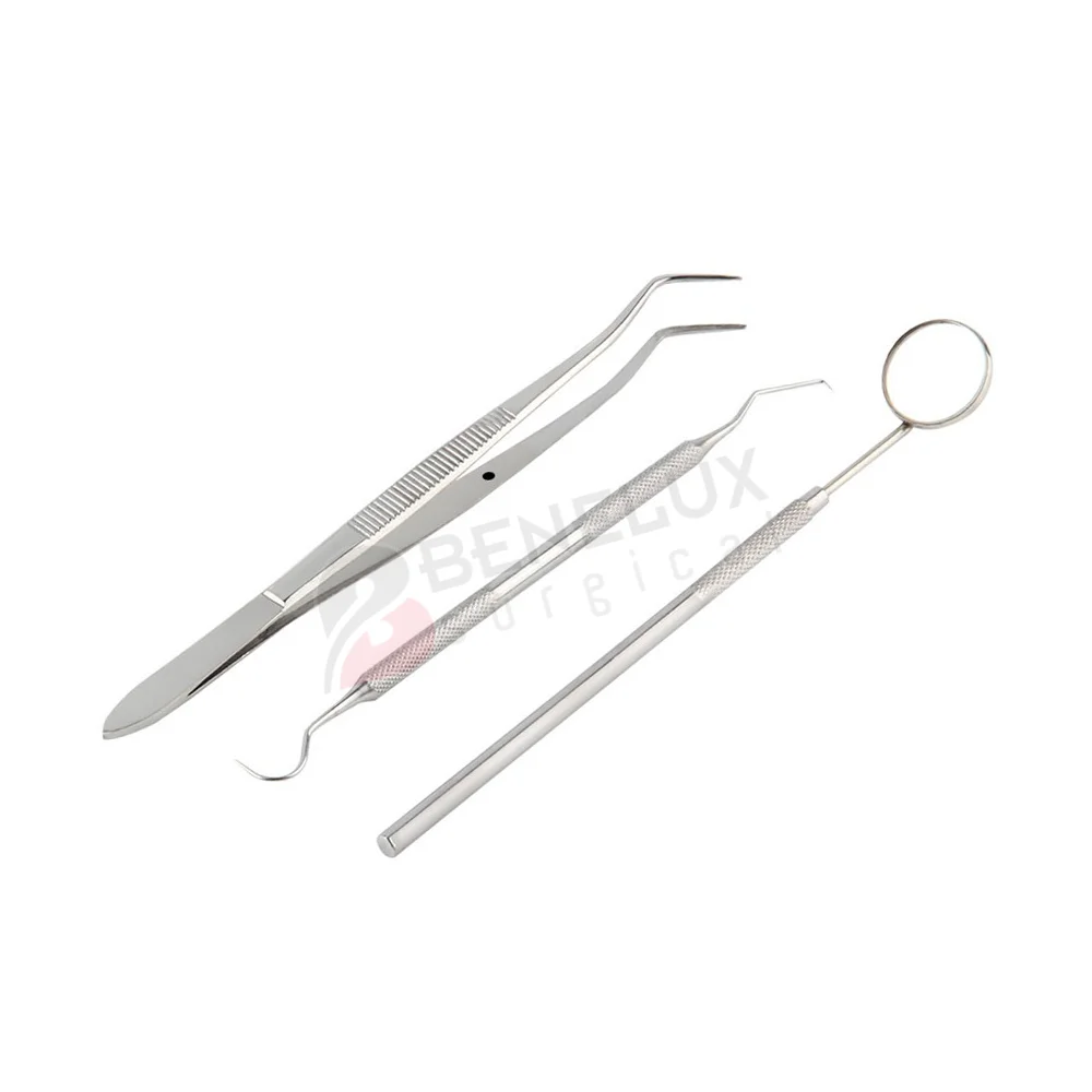 3pcs Dental Examination Kit Probe Set Hygiene Examination Cleaning Tools Oral Cleaning Dental Scaler