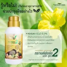 Best Selling TRANSFORM PLUS 2 Liquid Fertilizer Plant Uupplement Health Formula Advanced Micro Nutrients Plants from Thailand