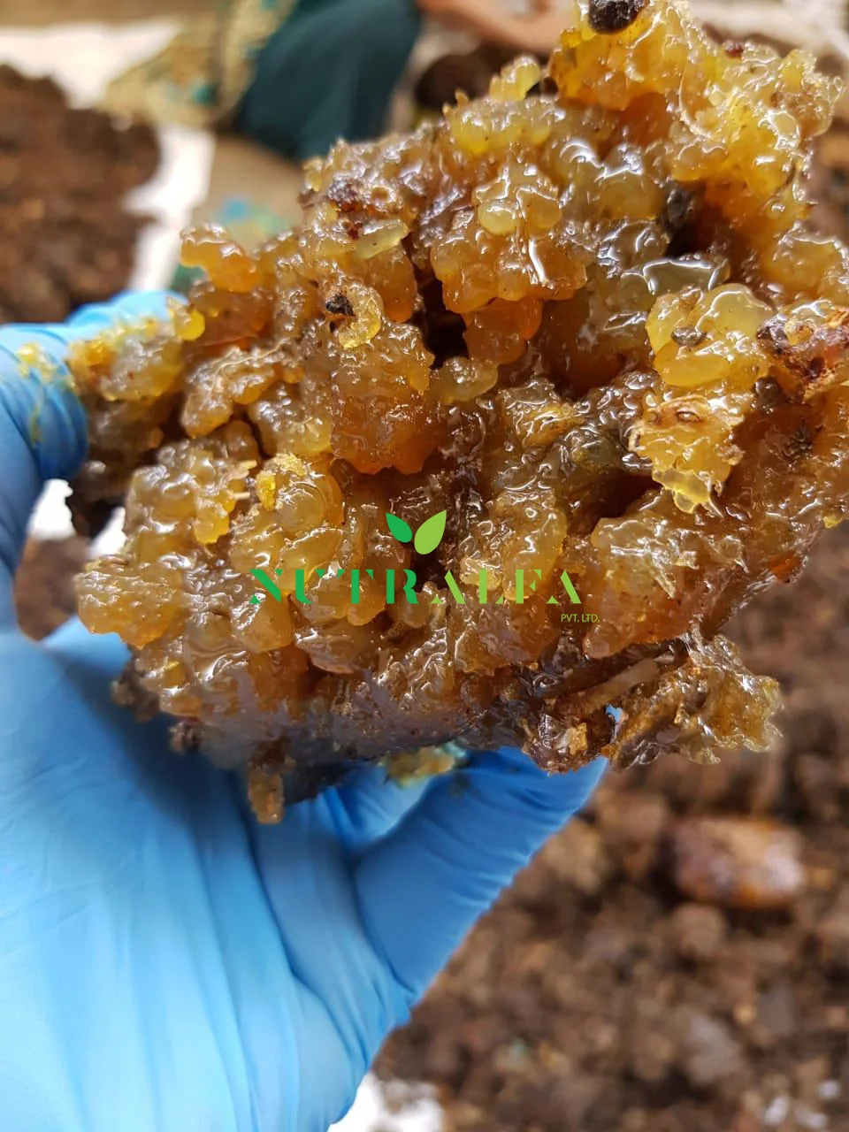 Gum Guggul Pure Grade for Extract - High Guggalsterones E & Z Count