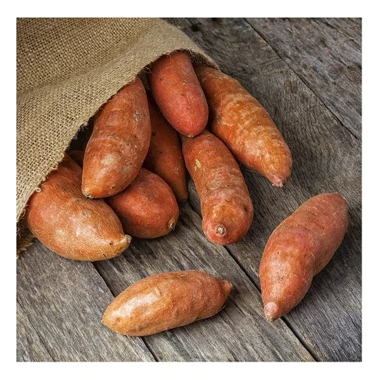 Best Seller Of Fresh Sweet Potatoes At Low Prices