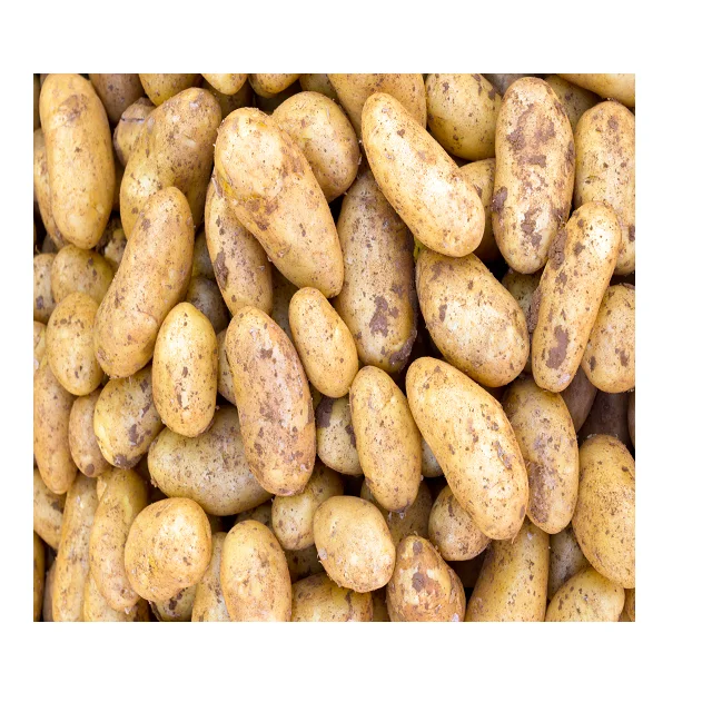 
Hot Selling Potatoes In Cheap Price Available In Pakistan 