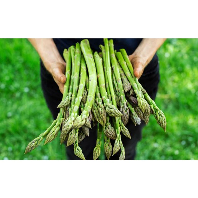 Aspagarus-низкая цена и быстрый ответ высокое качество тщательная упаковка