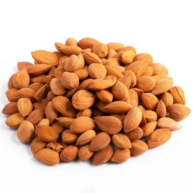 
Organic Apricot Seeds Vitamin B17 B15 Source Bitter Apricot Kernels Agolyn High Quality Good Taste Apricot Kernel/almond Nuts 