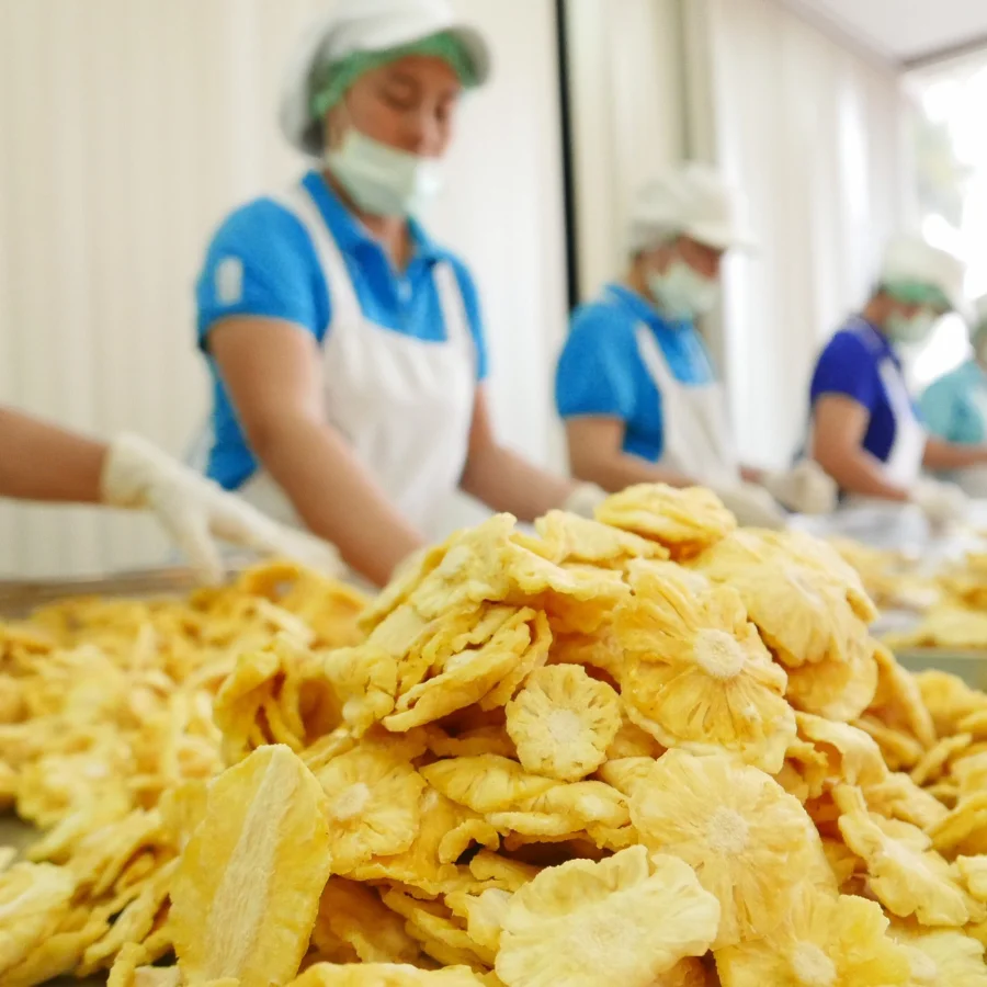 Keep In A Room Temperature Dried Pineapple From Thailand Having A Mini Size And The Tasted Sweet And Crispy