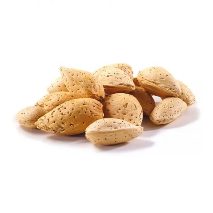 Premium Quality Wholesale Natural Inshell Almond, Shelled Almond, Sliced Almond (10000000605489)