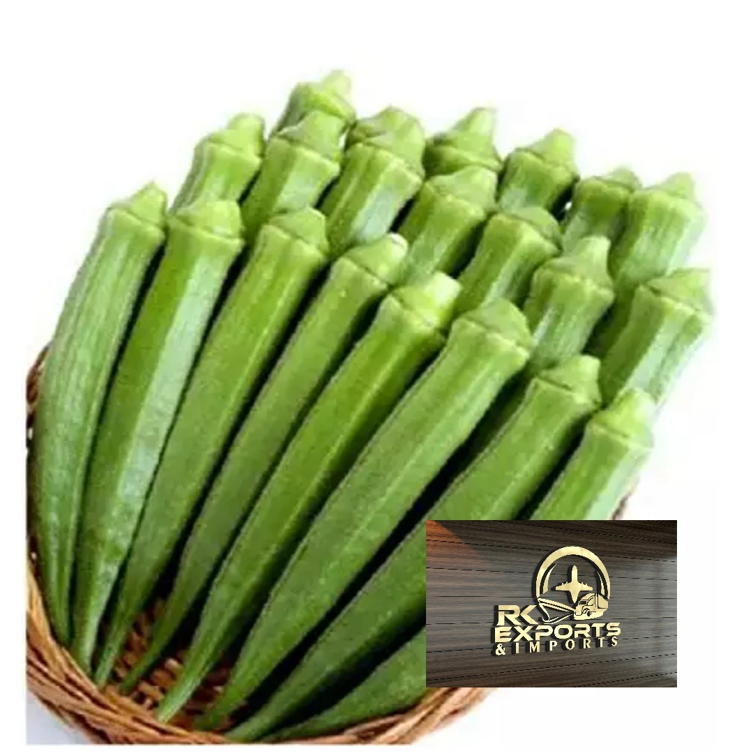 Fresh Indian Vendakkai/Bhindi/Dherash/Ladies Finger /fresh okra wholesale supplier and exporter from india tamilnadu