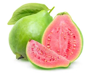 Sweet Crunchy fruits Rich in nutrient antioxidants High Vitamin C Fiber Organic fresh Guava From Malaysia