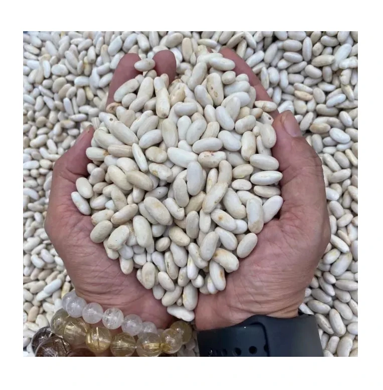 Белая фасоль Orsafarm 2021 Урожай из высококачественной почвы 5 кг/упаковка сделано в Вьетнаме на