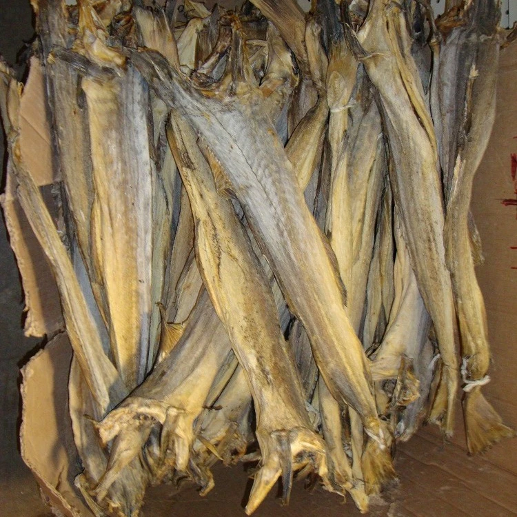 
Best Dry Stock Fish / Dry Stock Fish Head / dried salted cod Dry Stockfish, Herring Fish ready for export 