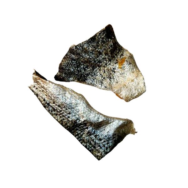 [ BEST SELLER 2022 ] --- Pangasius / salmon skin with the best quality from Viet Nam