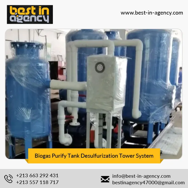 Electrical controlling Carbon Steel Biogas Blower Biogas Purify Tank Desulfurization Tower System