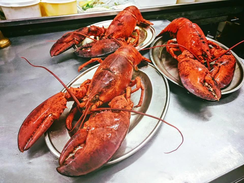 
Frozen Lobster / Frozen Lobster Tails / Fresh Live Lobsters 