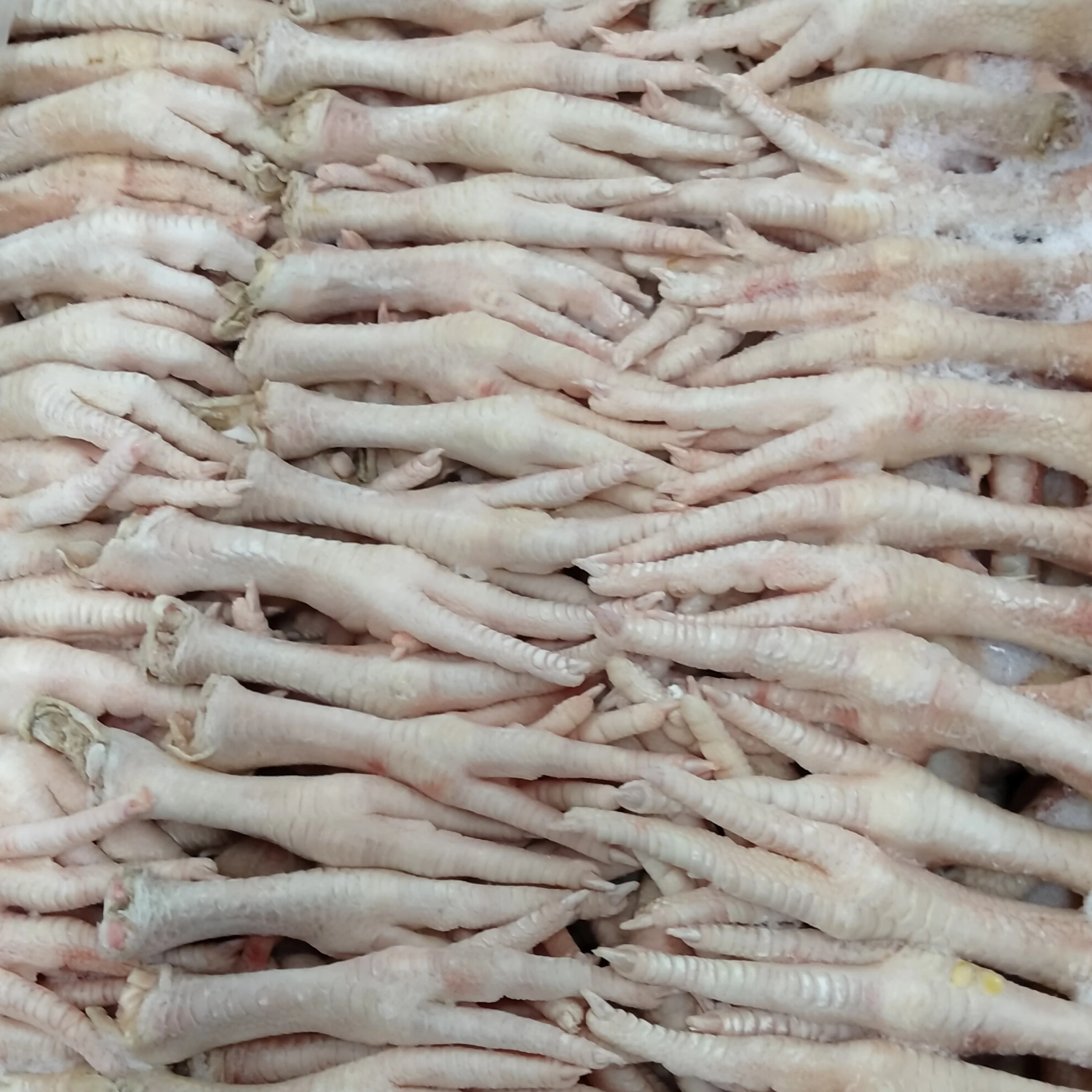 2021 лучший поставщик свежих замороженных халяльных куриных ножек/куриных ножек для продажи из Бельгии