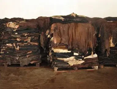 Best Quality Wholesale Raw salted Cow hide skin For Sale In Cheap Price