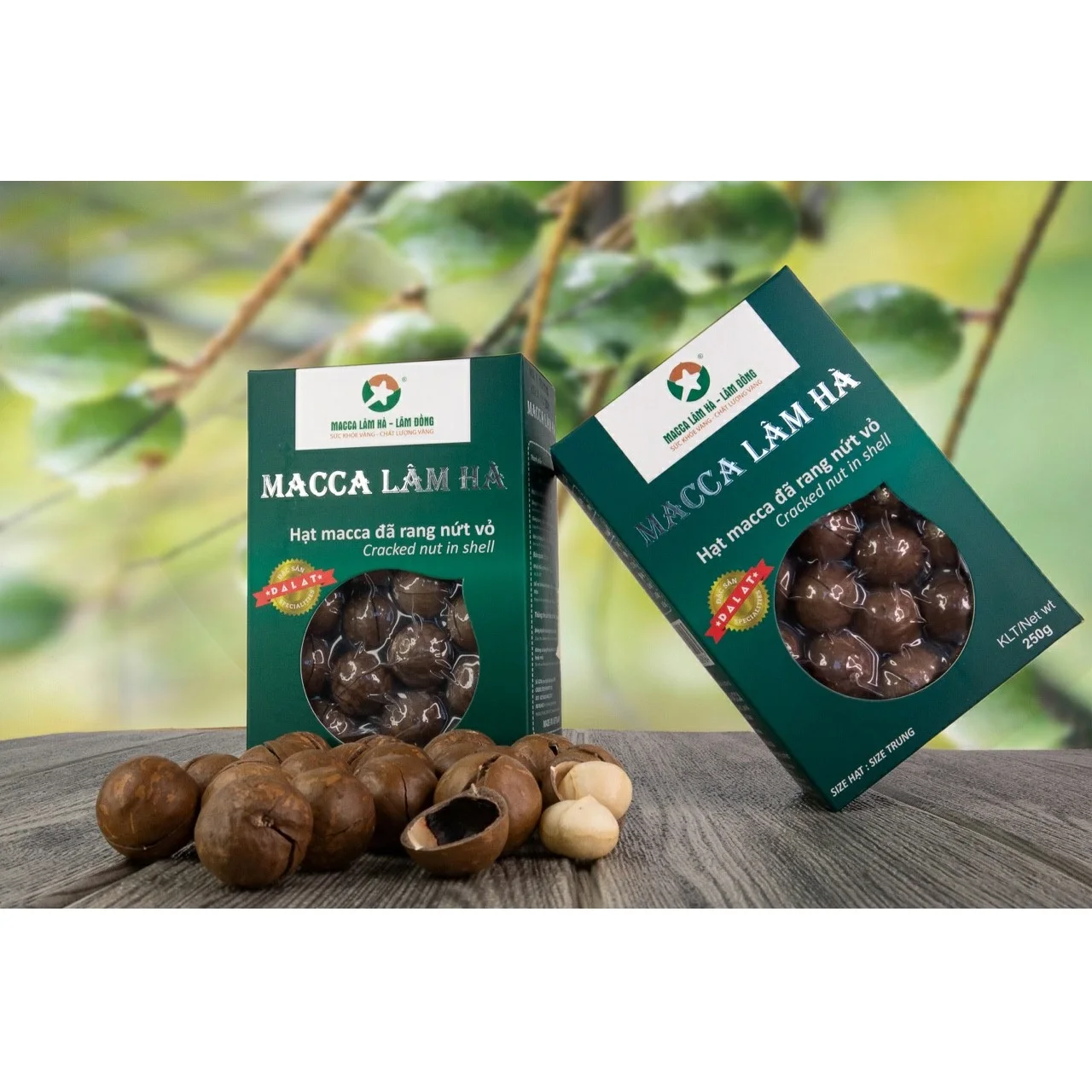 100% Macadamia nuts Dry Cracked in Shells Dred Style Organic Cultivation Type Macadamia nuts (green box) from Vietnam